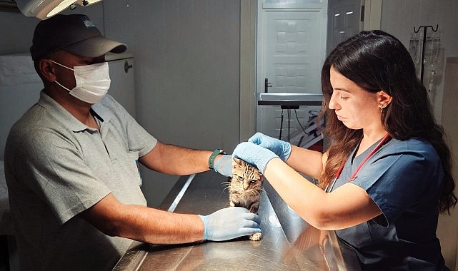 Narlıdere Belediyesi’nde can dostlar için hummalı çalışma.