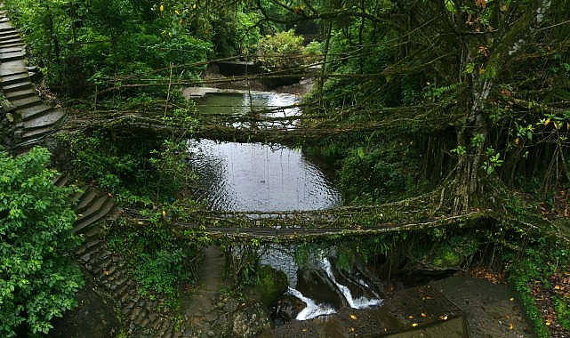 3 Bölümden Oluşan ‘Vahşi Hindistan’ 1 Mart Cumartesi Günü 20.00’de National Geographic WILD Ekranlarında Başlıyor!