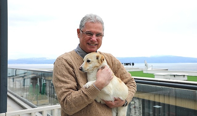 Mudanya Belediyesi’nden Sahipsiz Hayvanlara Şefkat Eli