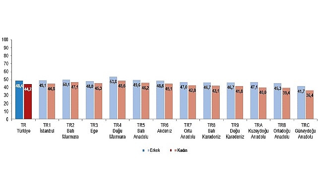 Aktif Yaşlanma Endeksi, 2024