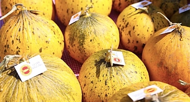 Çeşme, üretim kültürünü kutladı: 10. Ovacık Tarım ve Sakız Koyunu Festivali tamamlandı