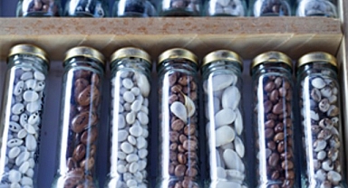 Minik eller toprakla buluştu